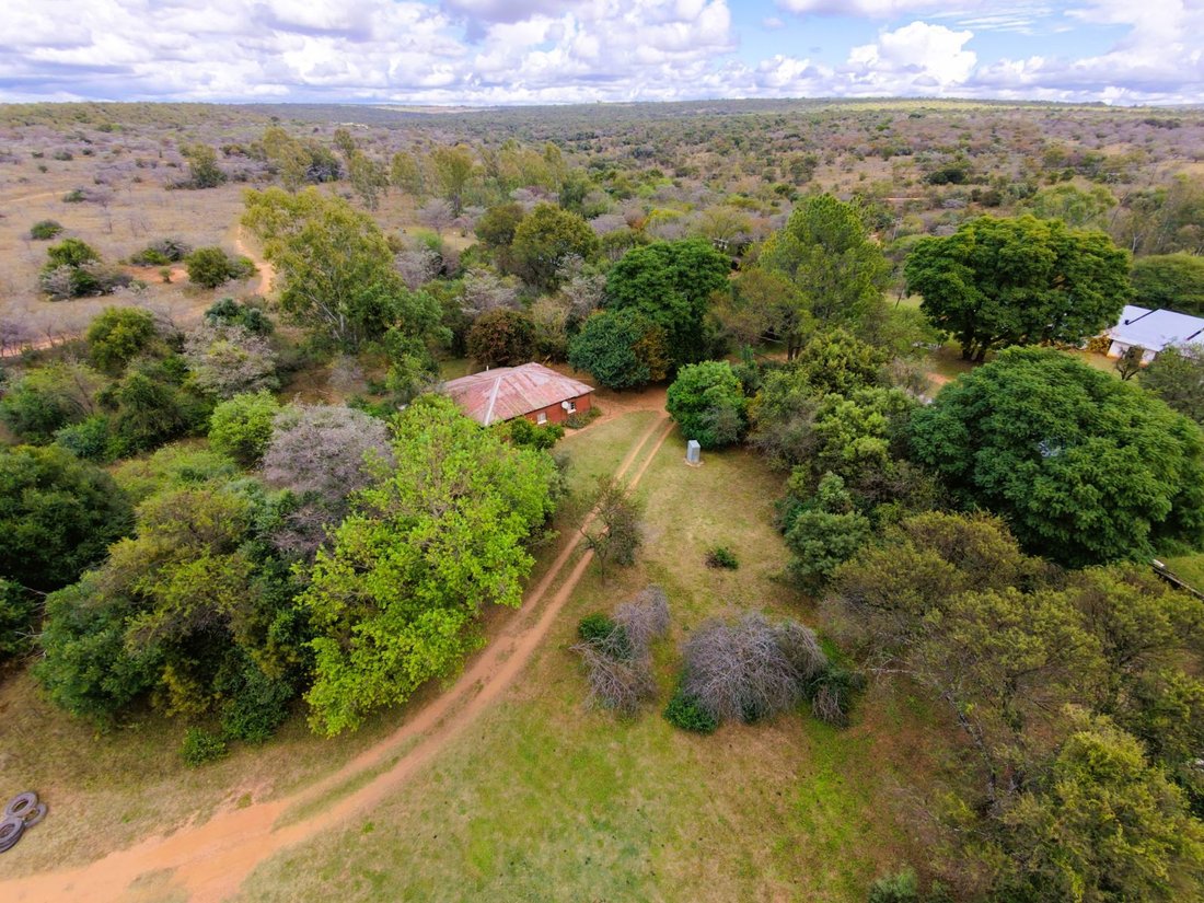 Farm Ranch in Johannesburg, Gauteng, South Africa 4 - 17995208