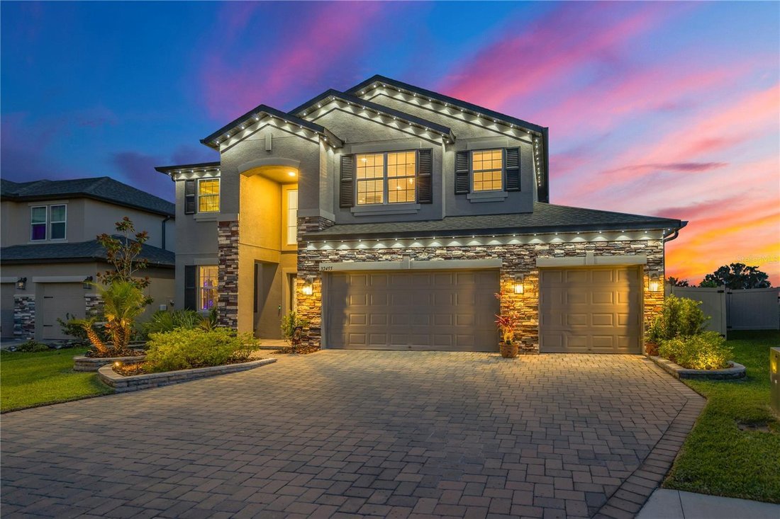 House in Wesley Chapel, Florida, United States 1 - 17987707
