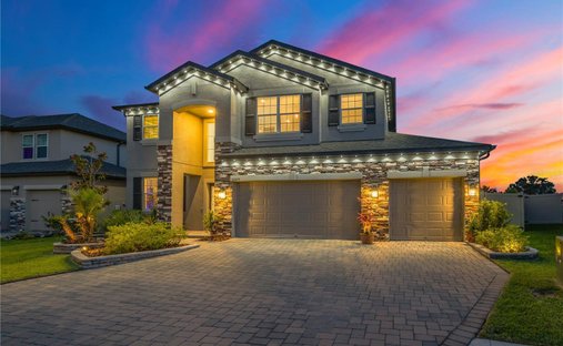 House in Wesley Chapel, Florida, United States 1