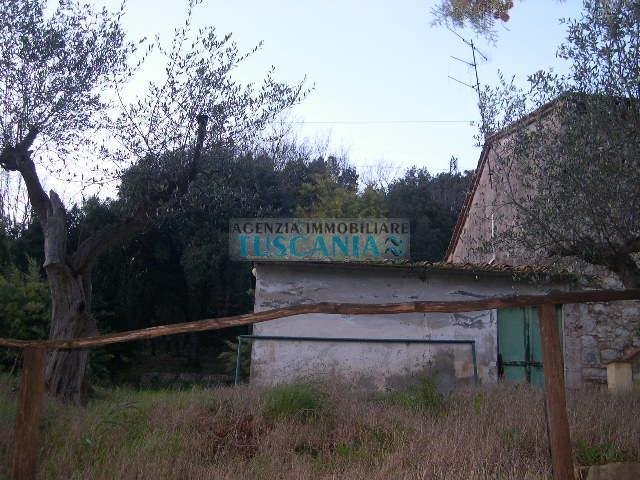 Pomarance, Tuscany, Italy 4 - 13332756