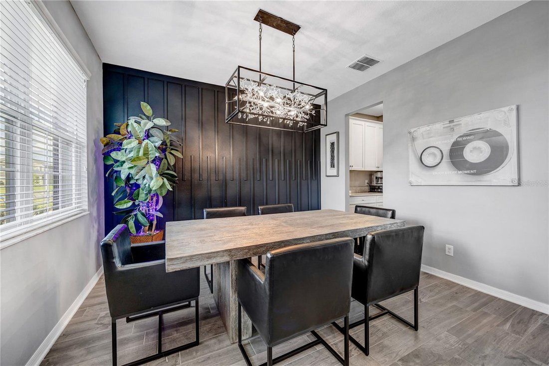 House in Wesley Chapel, Florida, United States 4 - 17987707