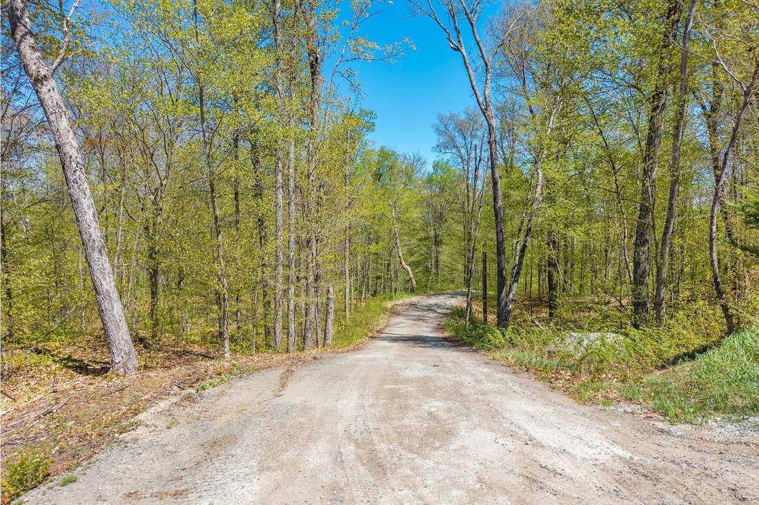 Land in Mont-Tremblant, Quebec, Canada 4 - 17071007
