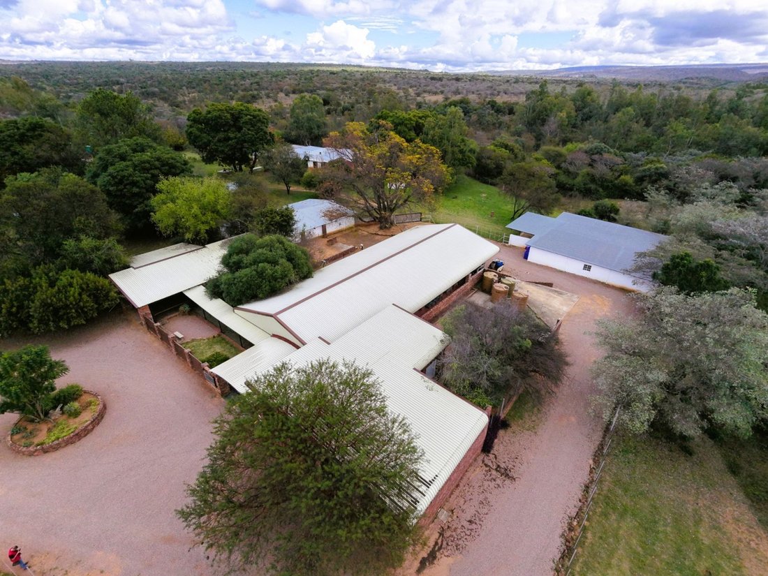 Farm Ranch in Johannesburg, Gauteng, South Africa 2 - 17995208
