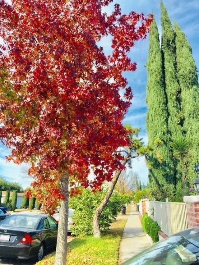 House in Rowland Heights, California, United States 2 - 17994659