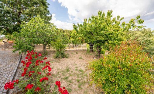 Finca in Vela, Guarda District, Portugal 1
