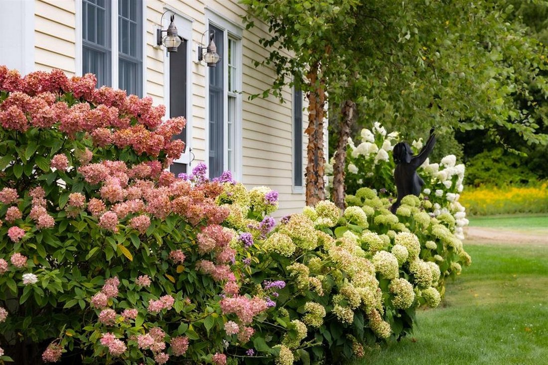 House in Ferrisburgh, Vermont, United States 5 - 17986441