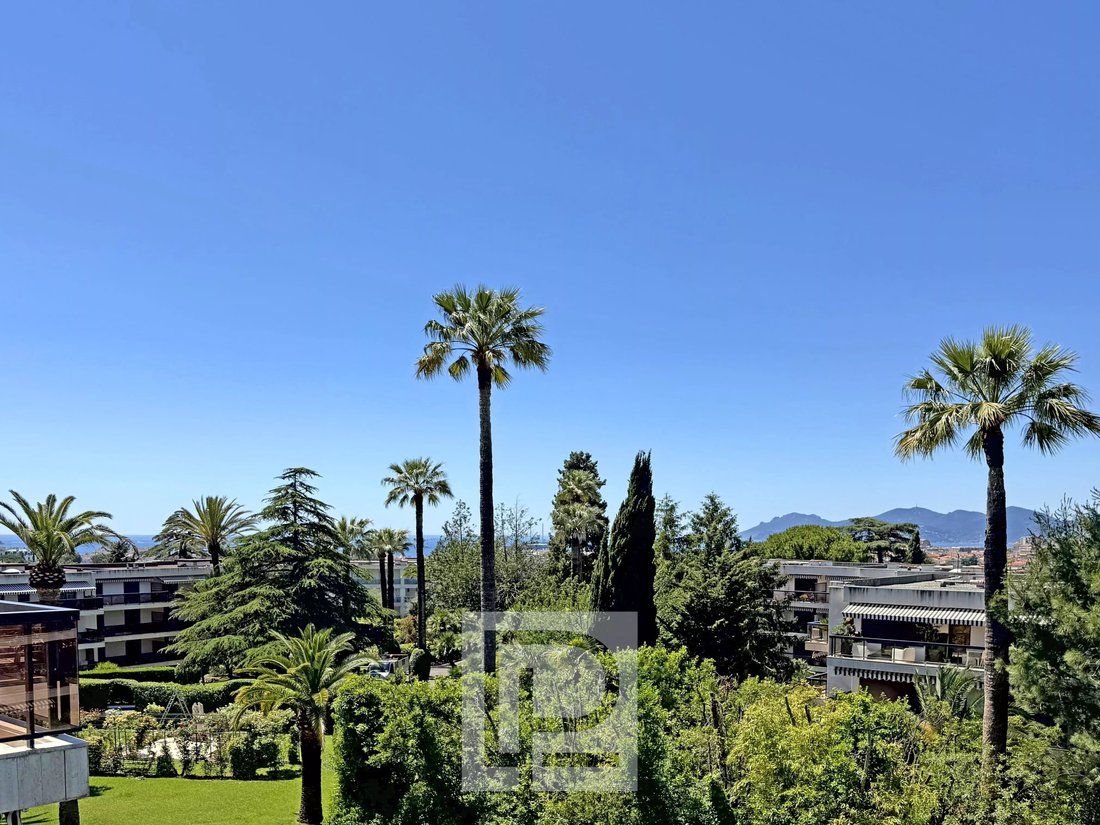 Apartment in Cannes, Provence-Alpes-Côte d'Azur, France 1 - 17911035