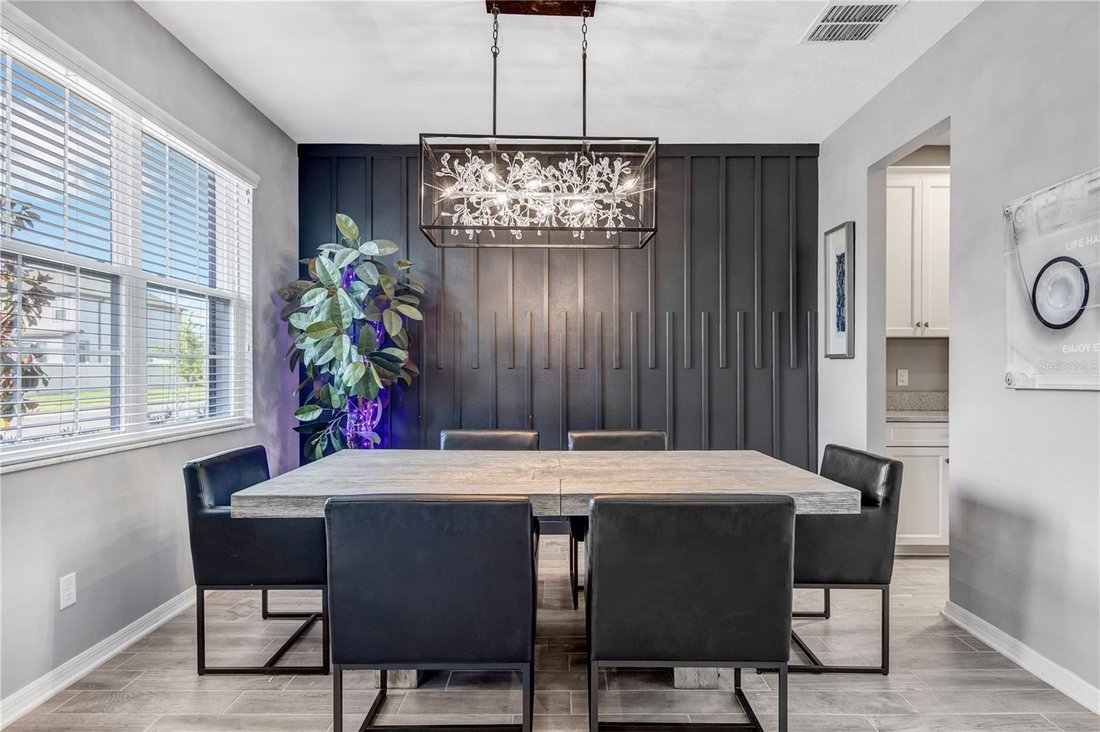 House in Wesley Chapel, Florida, United States 5 - 17987707