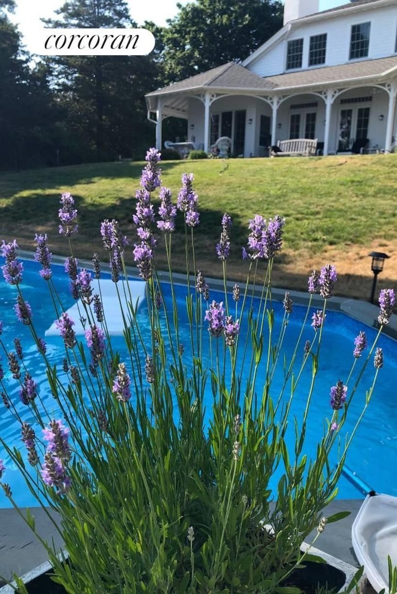 House in Shelter Island Heights, New York, United States 5 - 17968066