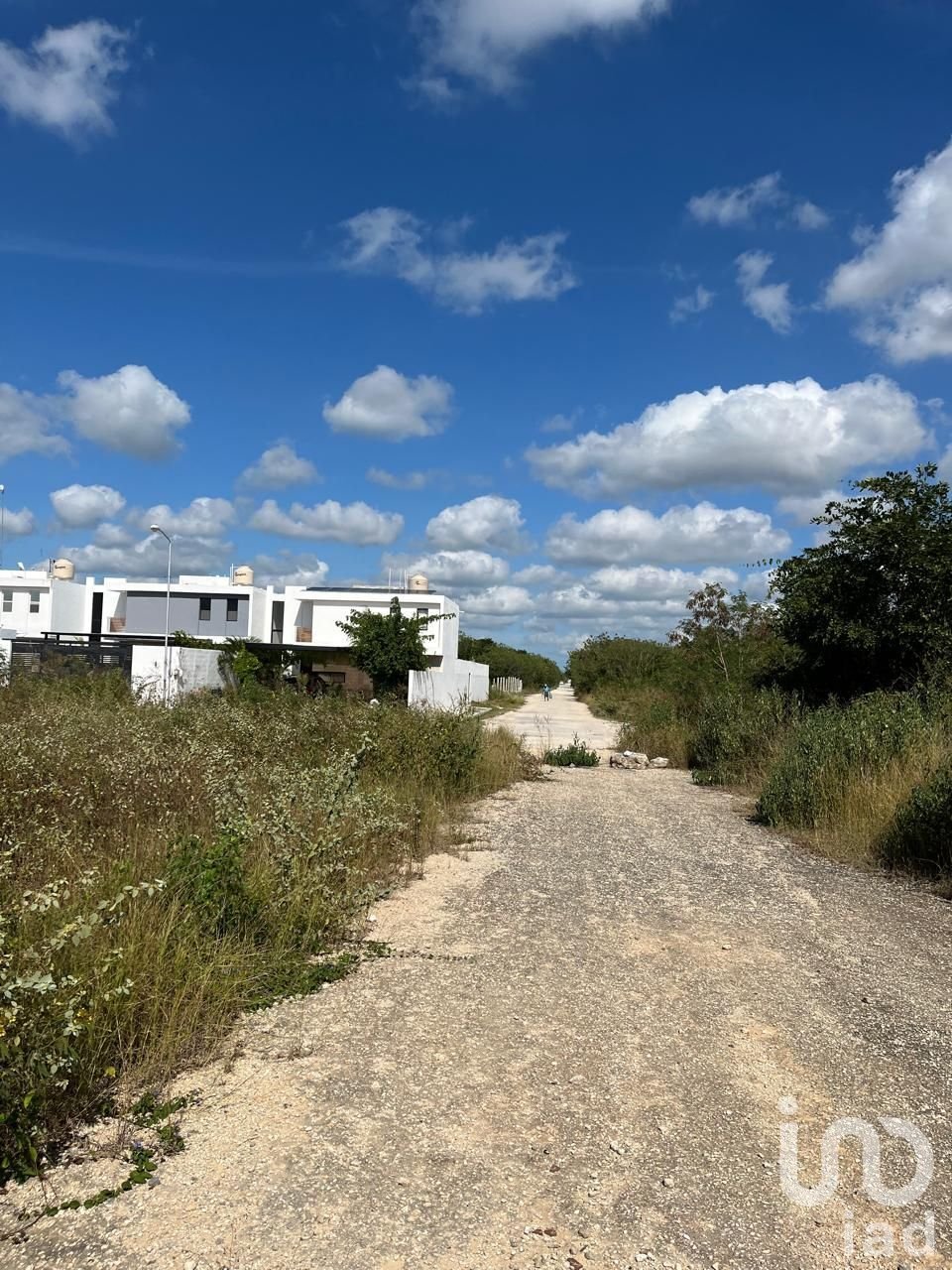 Land in Temozón Norte, Yucatan, Mexico 4 - 17993553