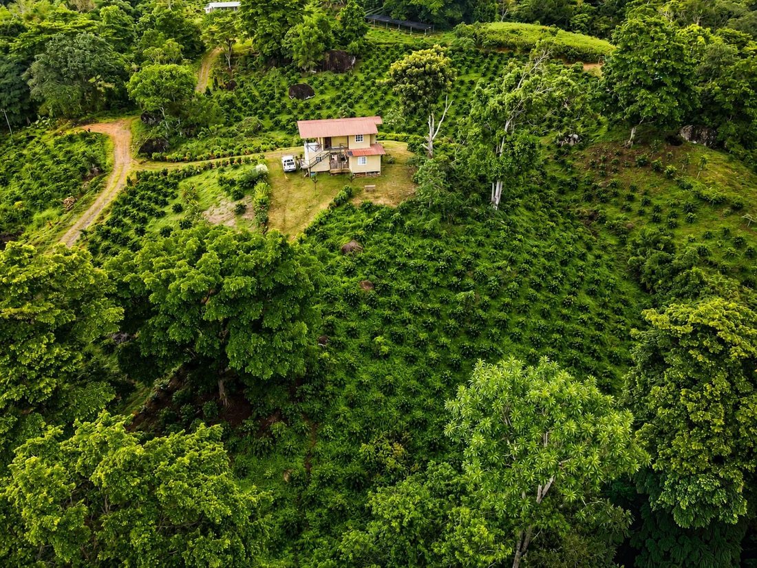 Finca in La Pintada, Coclé Province, Panama 1 - 17991067