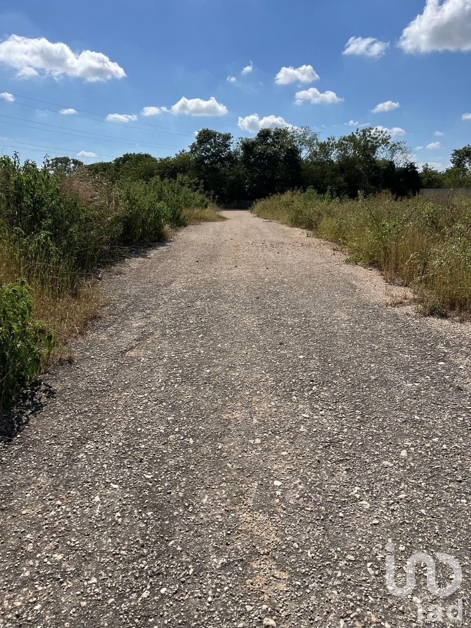 Land in Temozón Norte, Yucatan, Mexico 3 - 17993553