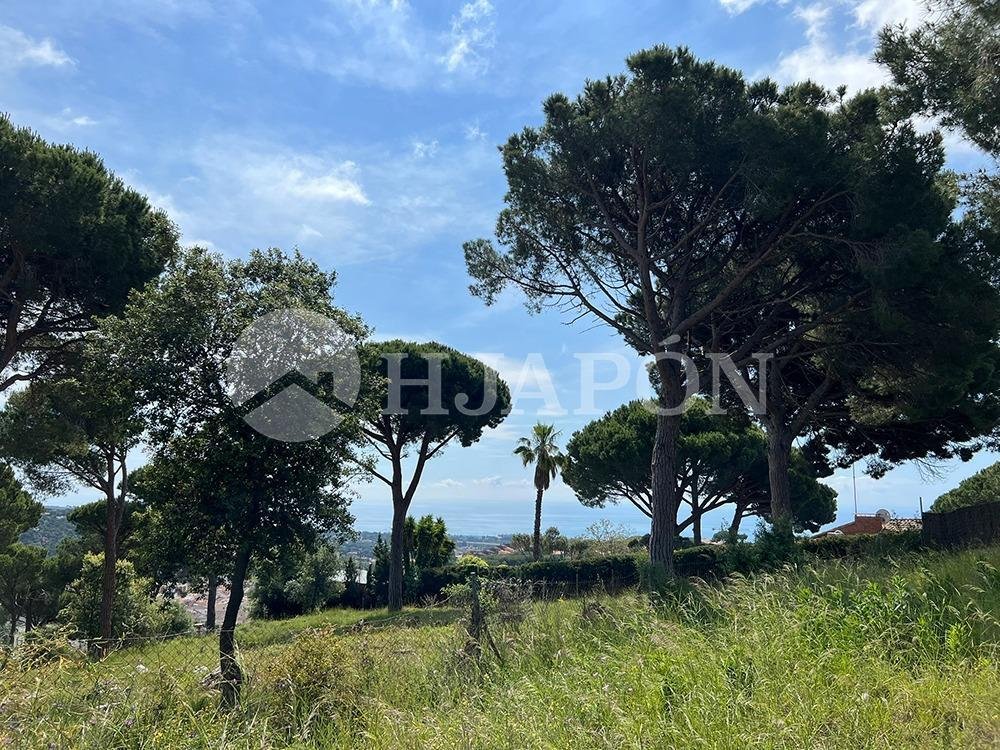 Land in Sant Andreu de Llavaneres, Catalonia, Spain 2 - 17978434