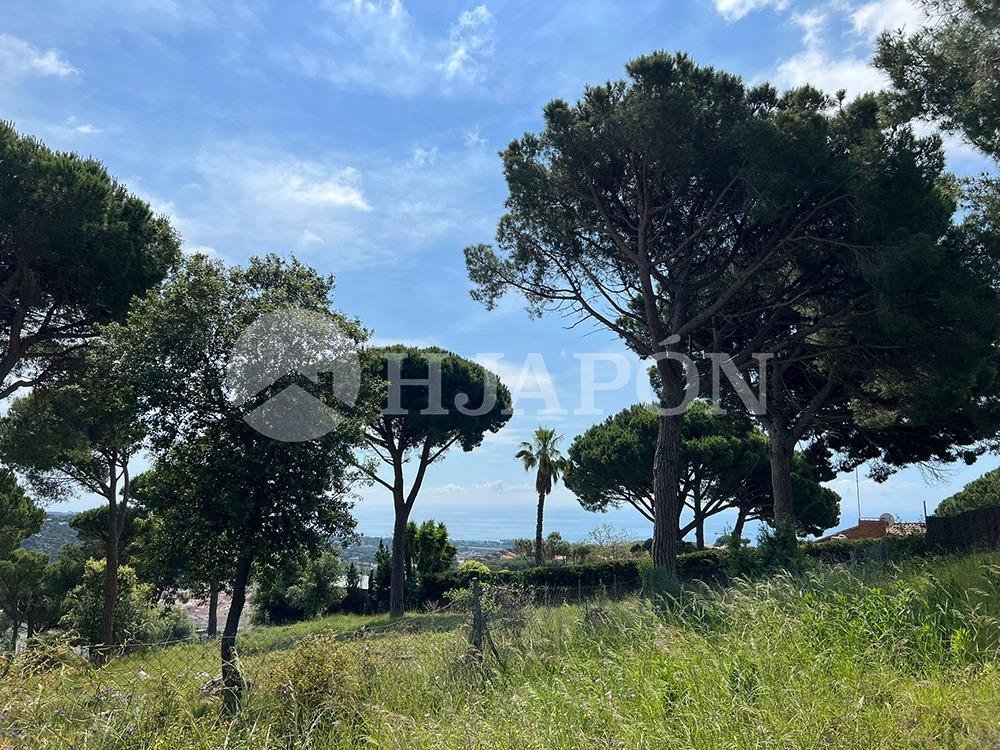 Land in Sant Andreu de Llavaneres, Catalonia, Spain 3 - 17932797