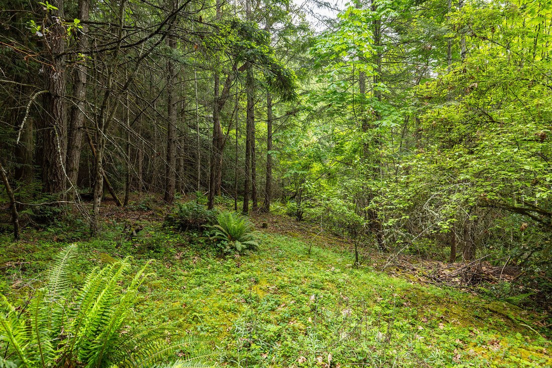Land in Saanichton, British Columbia, Canada 5 - 17993403