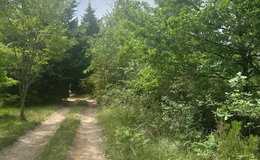 Terreno en Gujan-Mestras, Nueva Aquitania, Francia 1