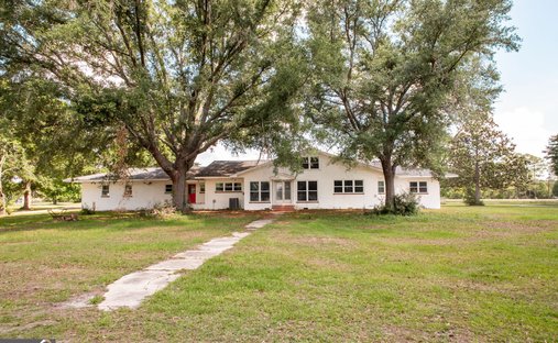 House in Alma, Georgia, United States 1