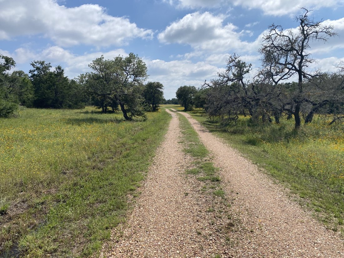 Farm Ranch in Carmine, Texas, United States 2 - 17993399