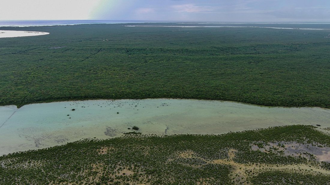 Land in Sandy Point, Caicos Islands, Turks and Caicos Islands 4 - 17994949