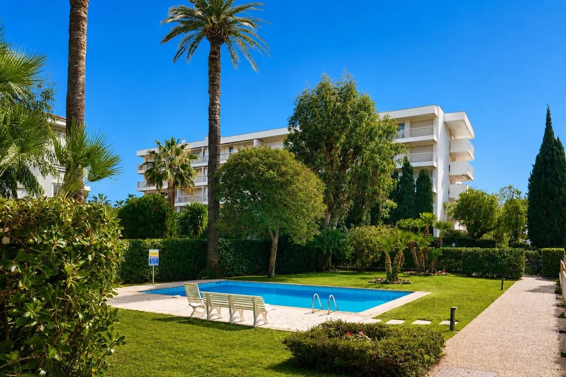 Apartment in Cannes, Provence-Alpes-Côte d'Azur, France 4 - 17352631