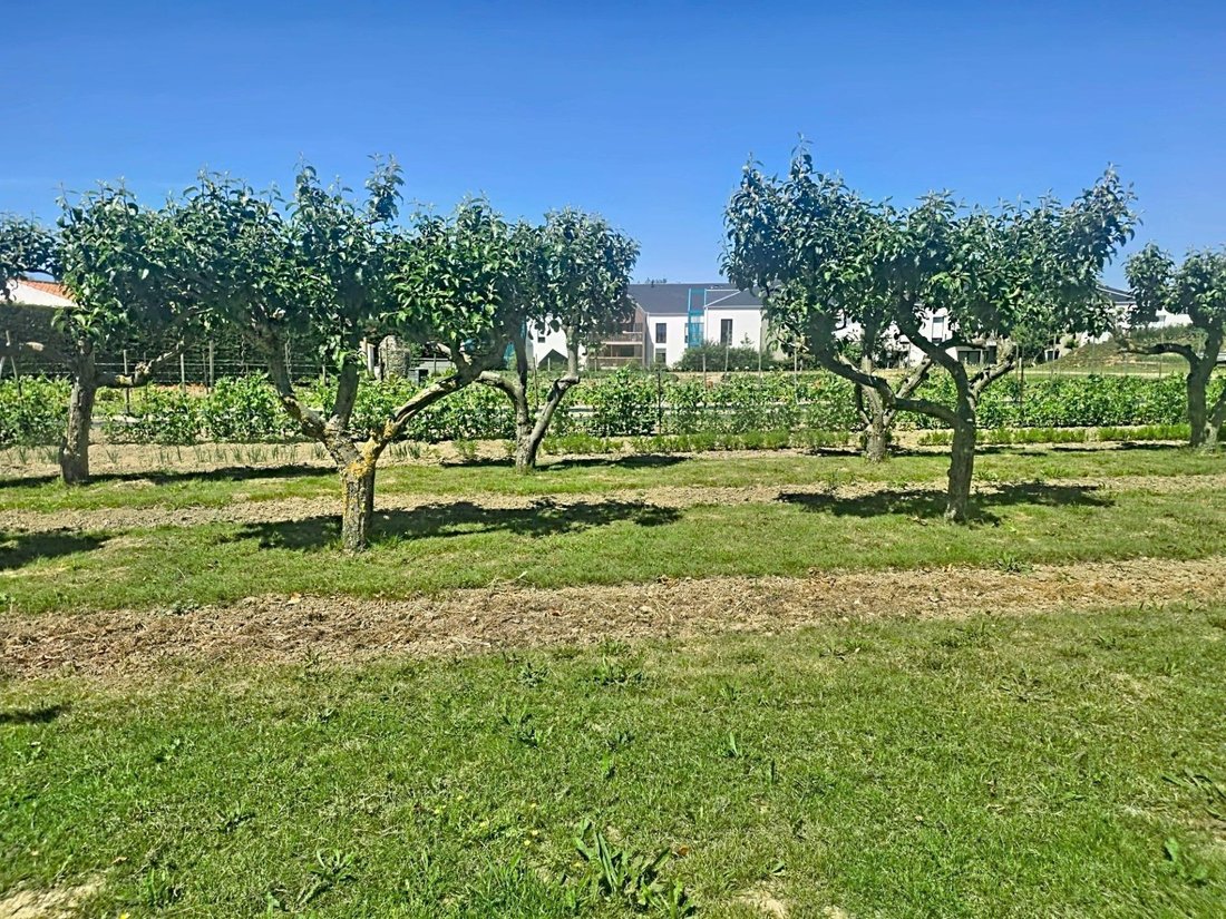 Land in Les Sables-d'Olonne, Pays de la Loire, France 1 - 17992697