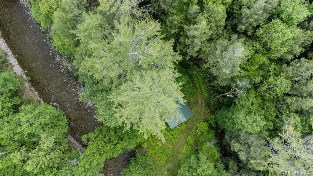 Land in Claryville, New York, United States 4 - 17998897