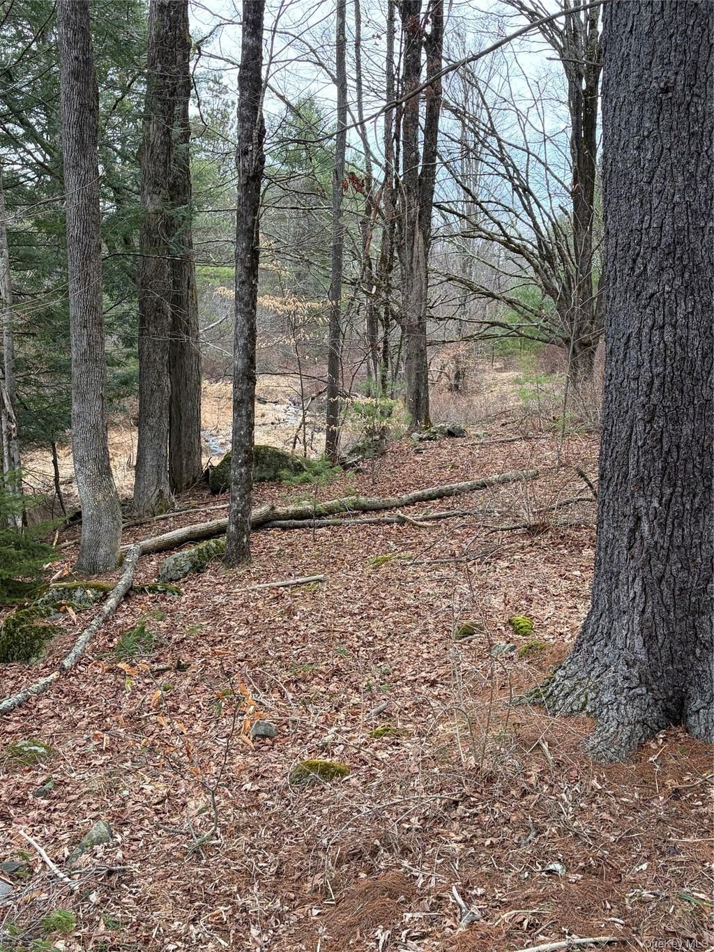 Land in Monticello, New York, United States 3 - 17998803
