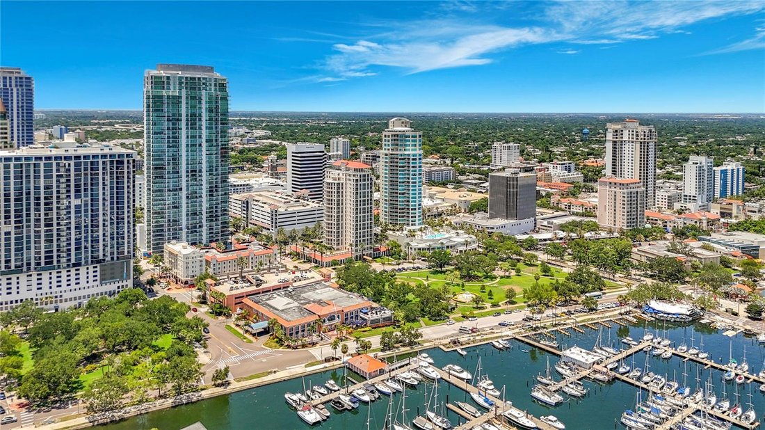 Condo in St. Petersburg, Florida, United States 4 - 17996029