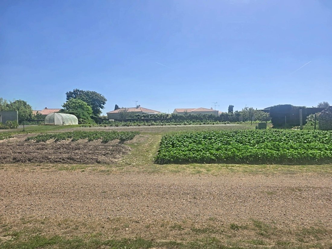 Land in Les Sables-d'Olonne, Pays de la Loire, France 2 - 17992697
