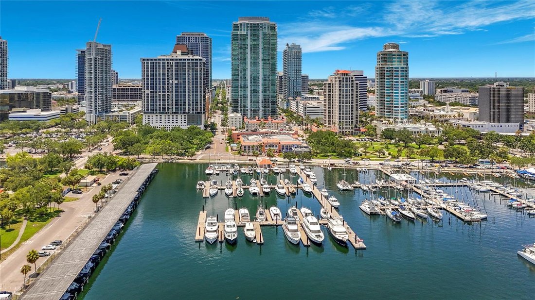Condo in St. Petersburg, Florida, United States 3 - 17996029