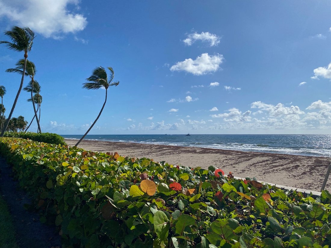 Land in Palm Beach, Florida, United States 5 - 17991348