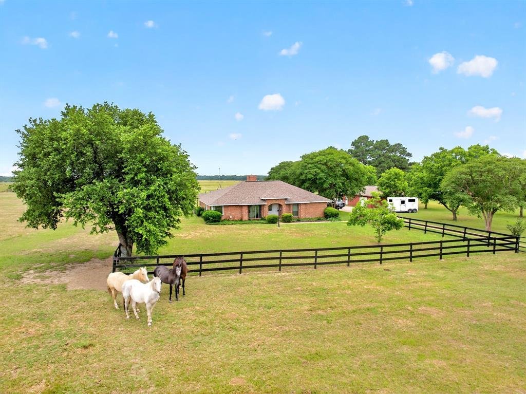 House in Wills Point, Texas, United States 5 - 17993323