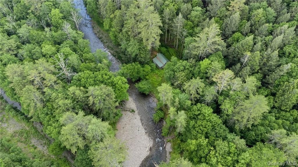 Land in Claryville, New York, United States 3 - 17998897