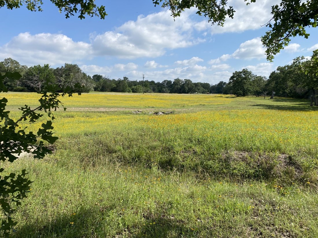 Farm Ranch in Carmine, Texas, United States 3 - 17993399