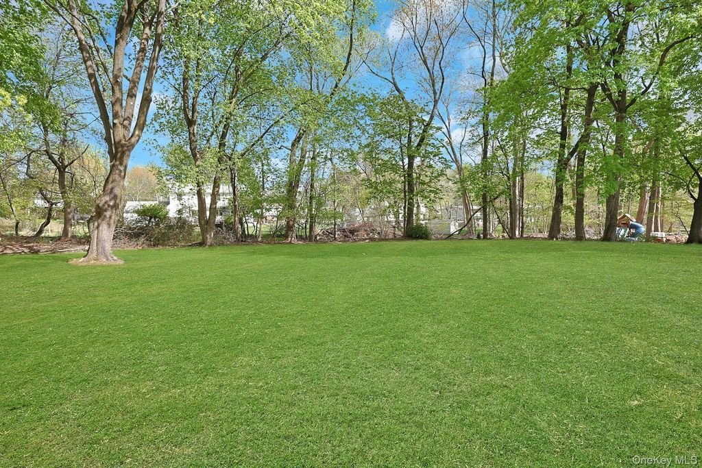 House in Spring Valley, New York, United States 4 - 17998879