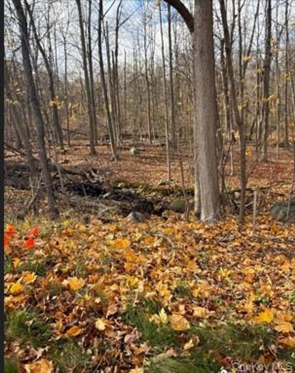 Land in Montebello, New York, United States 1 - 17998927