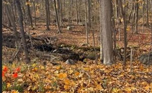 Land in Montebello, New York, United States 1