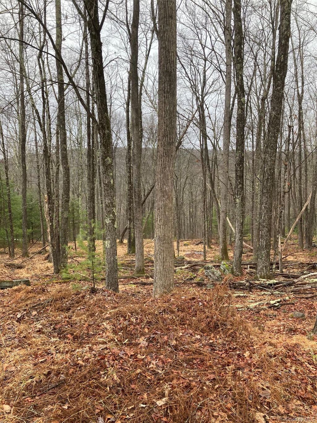 Land in Barryville, New York, United States 1 - 17998720