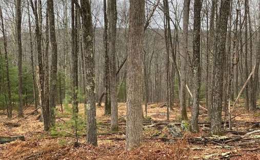 Land in Barryville, New York, United States 1