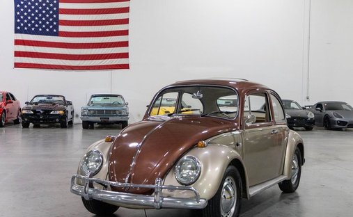 “The Desert Pearl” in Plainfield, United States 1