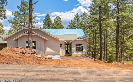 House in Flagstaff, Arizona, United States 1