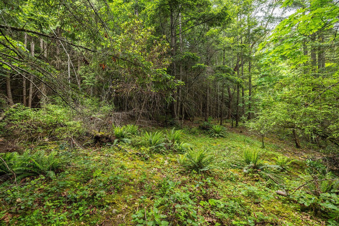 Land in Saanichton, British Columbia, Canada 4 - 17993403