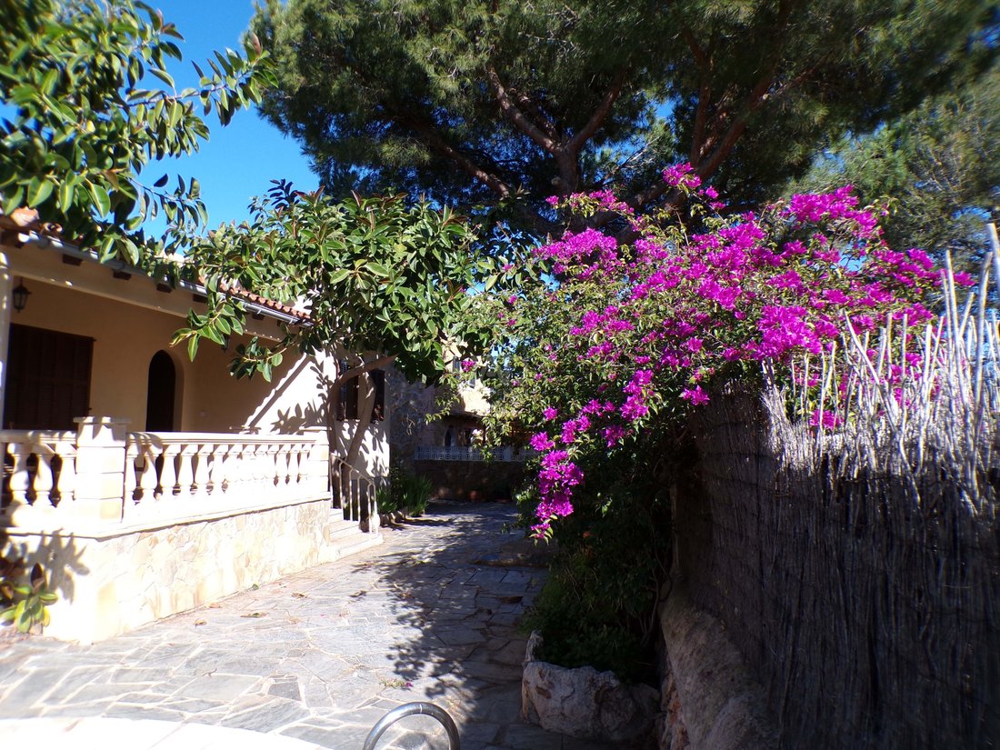 Townhouse in Santanyi, Balearic Islands, Spain 2 - 17996573