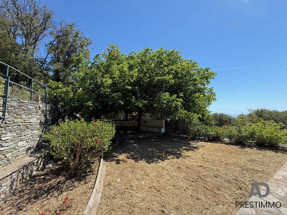 Villa in Santa-Maria-di-Lota, Corsica, France 3 - 17995619