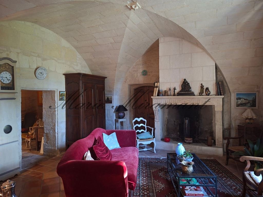 Estate in Arles, Provence-Alpes-Côte d'Azur, France 4 - 17741543