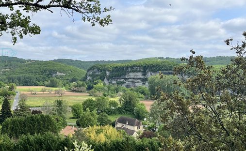 Tenuta a Saint-Léon-sur-Vézère, Nuova Aquitania, Francia 1