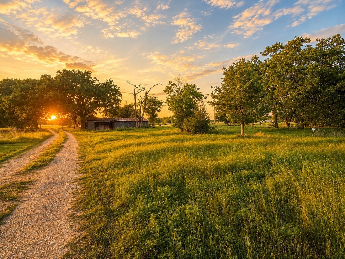 Land in Kerens, Texas, United States 5 - 17800497