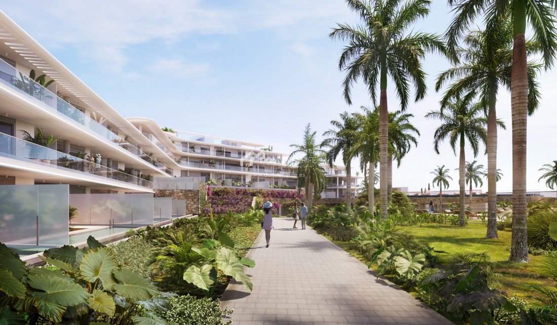 Apartment in Guia de Isora, Canary Islands, Spain 4 - 17995027