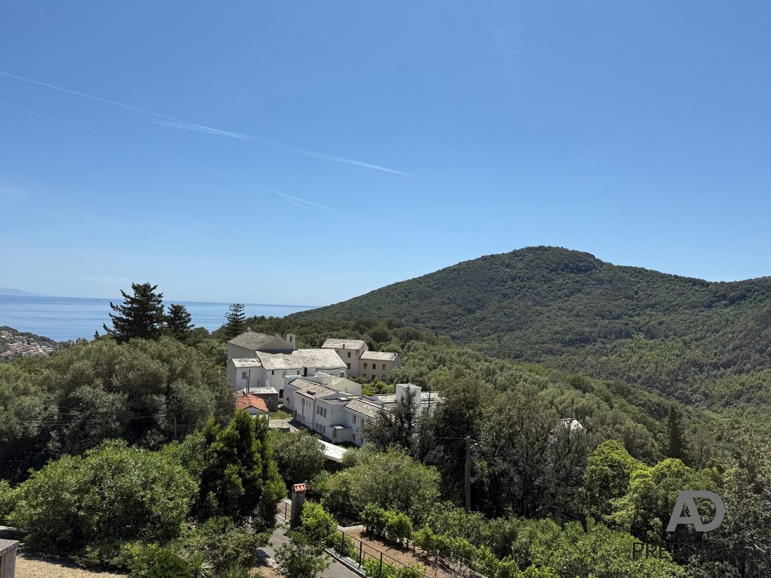 Villa in Santa-Maria-di-Lota, Corsica, France 4 - 17995619