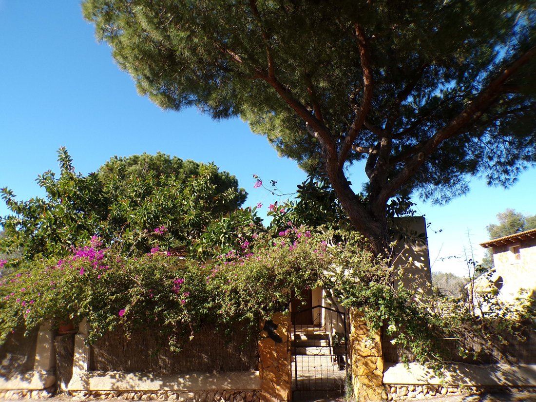 Townhouse in Santanyi, Balearic Islands, Spain 1 - 17996573